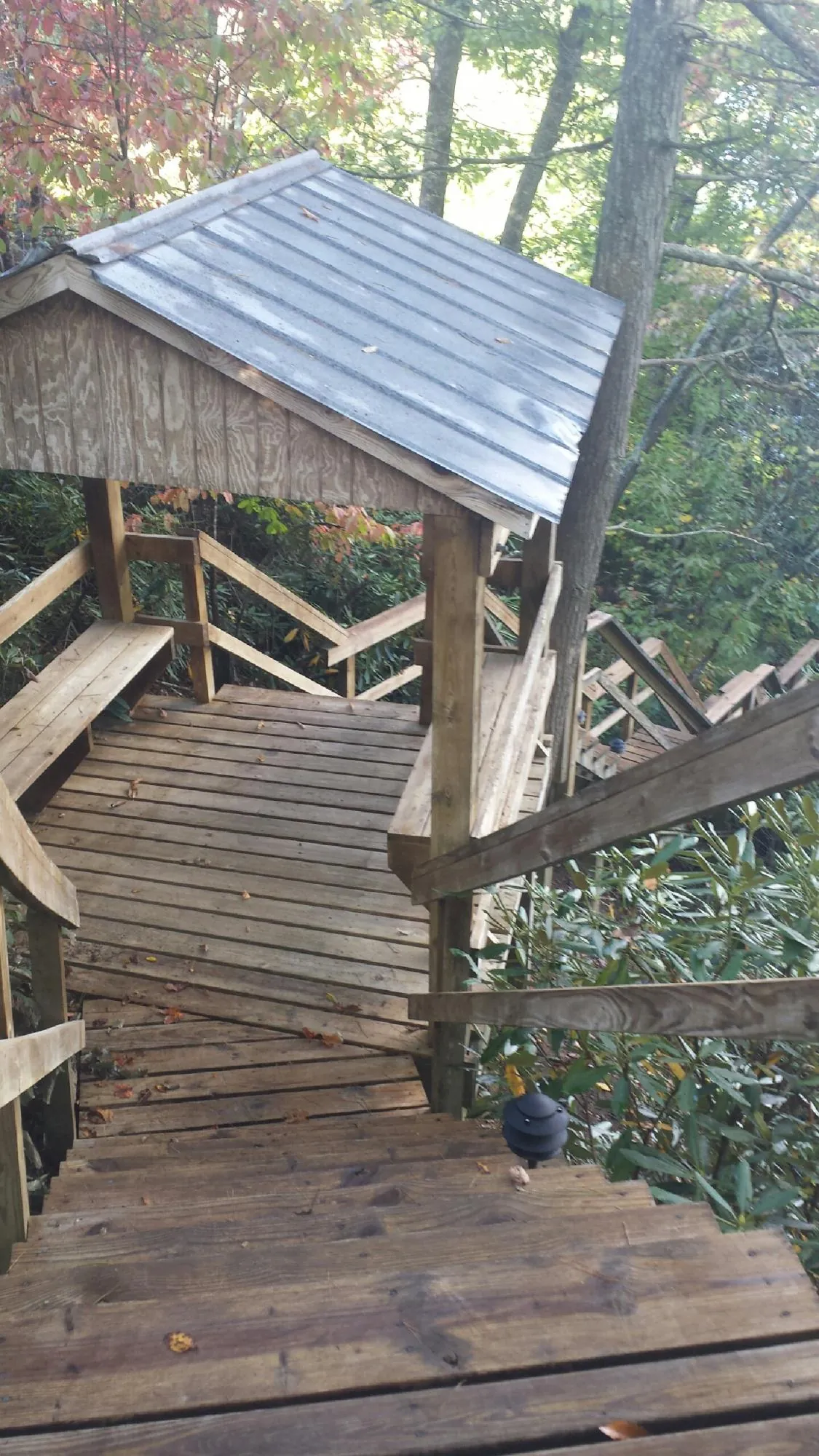 Metal roofed shelter over wooden steps on a wooded walkway in Remsen